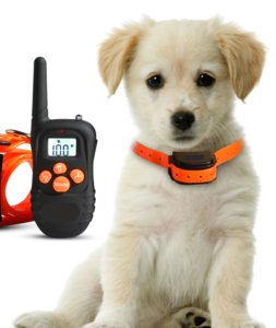 a cute puppy wearing a shock collar, next to a handheld unit with antenna